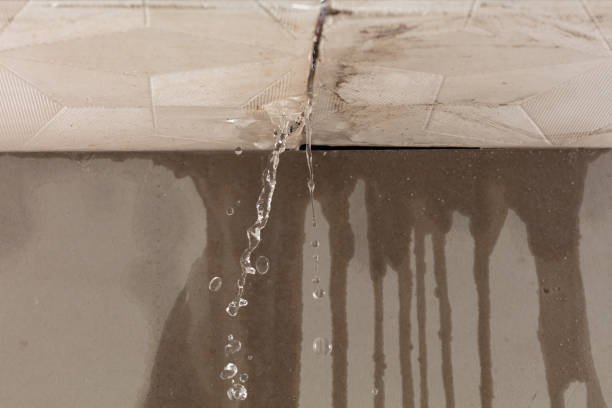 Professional Sewage Cleanup technician working in Brightwood, VA